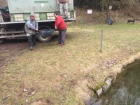 /album/nasady/img-1527-2-jpg/